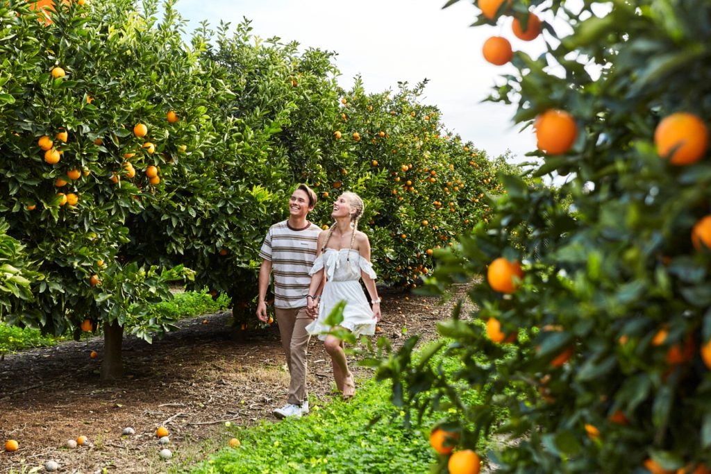 Spend a Long Weekend in Harvey