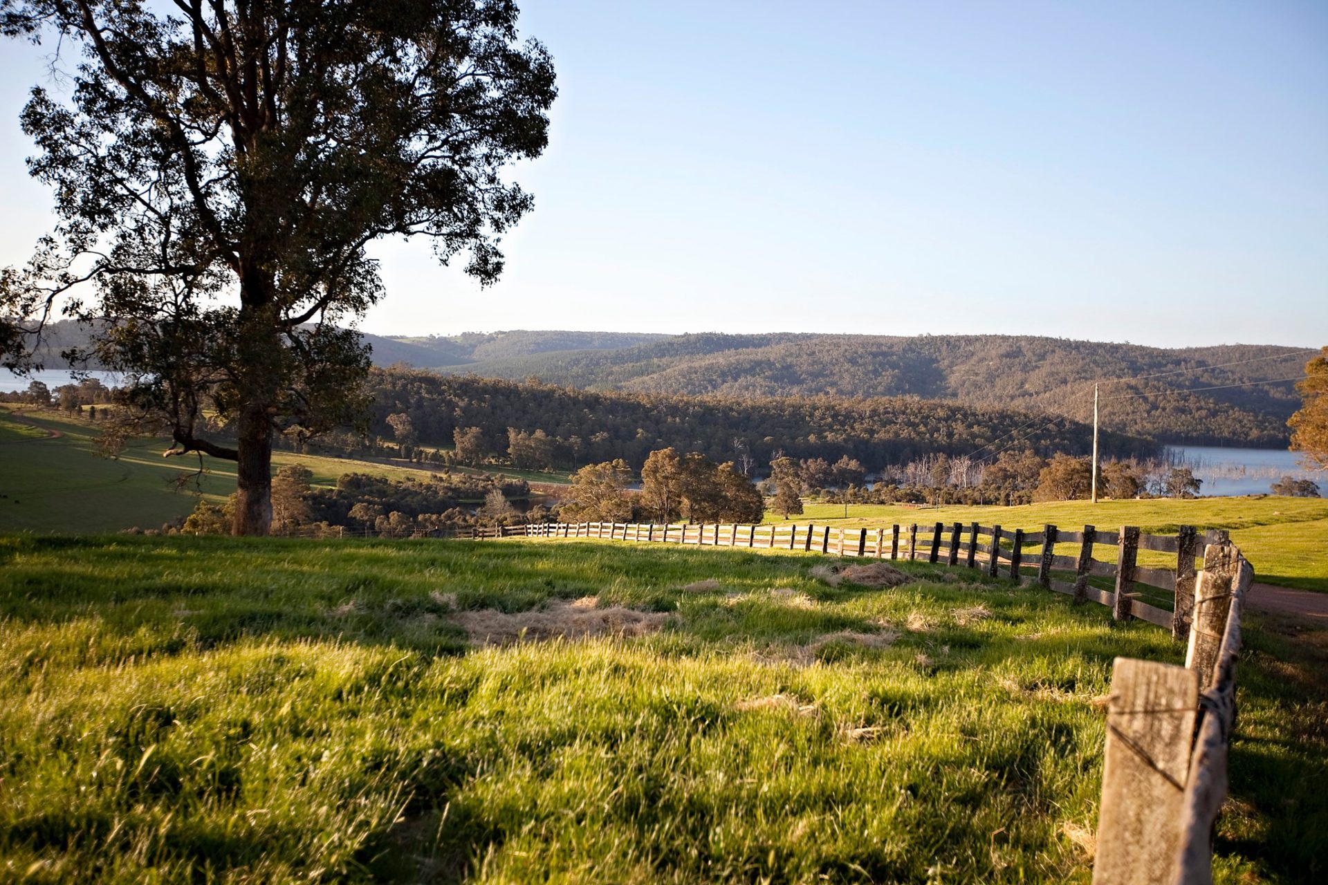 Harvey-Hills-Farmstay-View-1-1920x1280.jpg