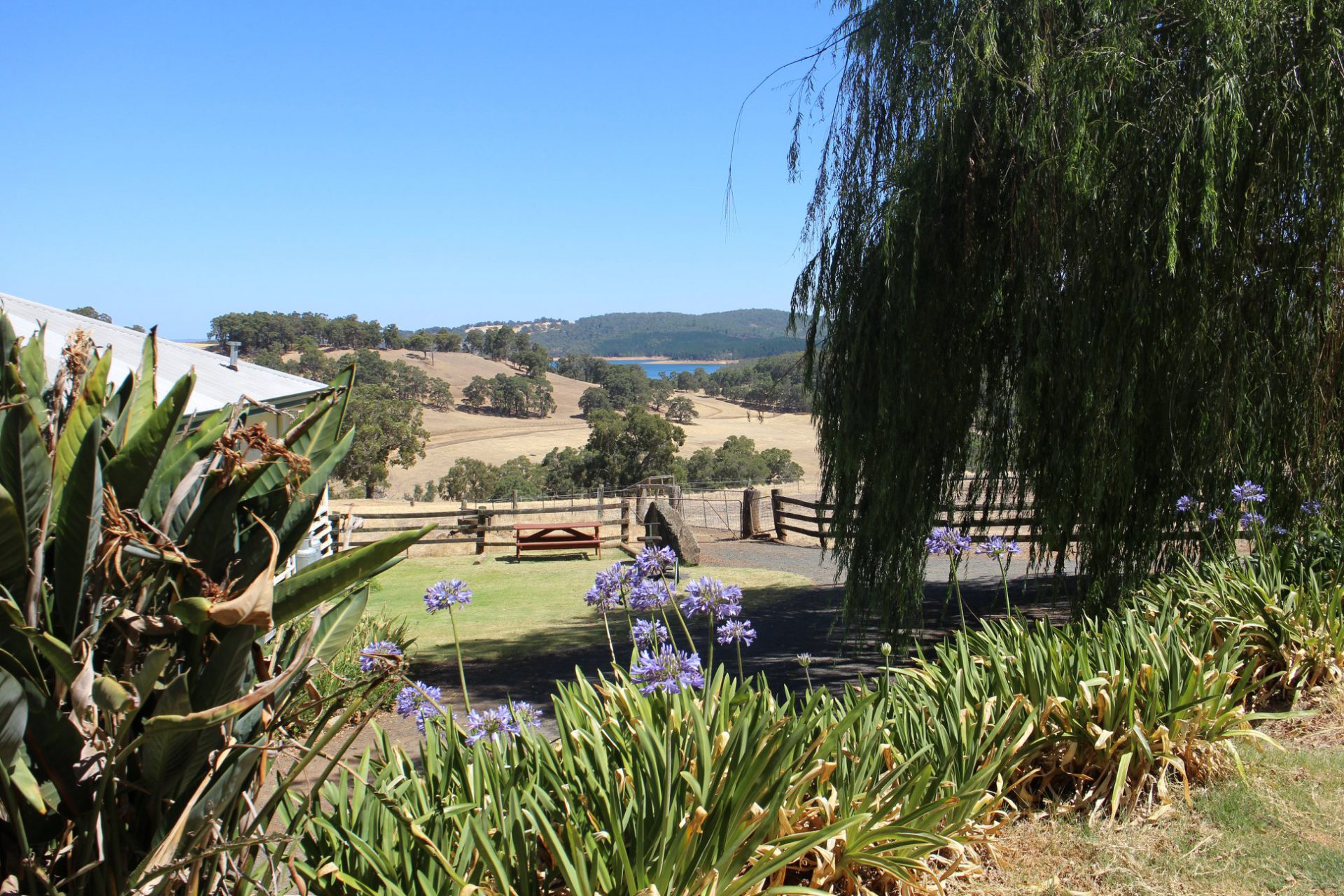 Harvey-Hills-Farmstay-View-2-1920x1280.jpg