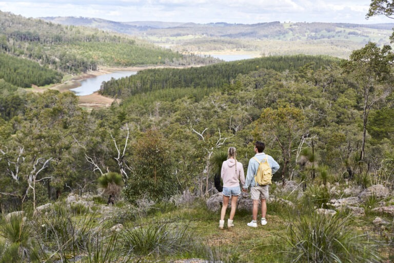 Wildflower Ridge Walk