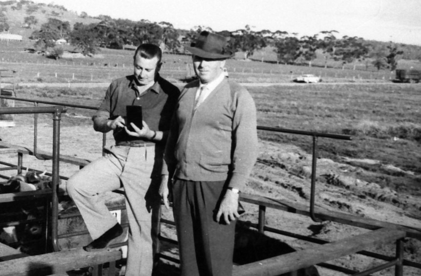 Colin-and-Mal-Green-at-the-Brunswick-Sale-Yards.jpg