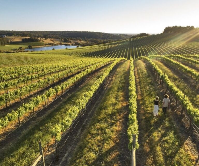 Geographe Wine