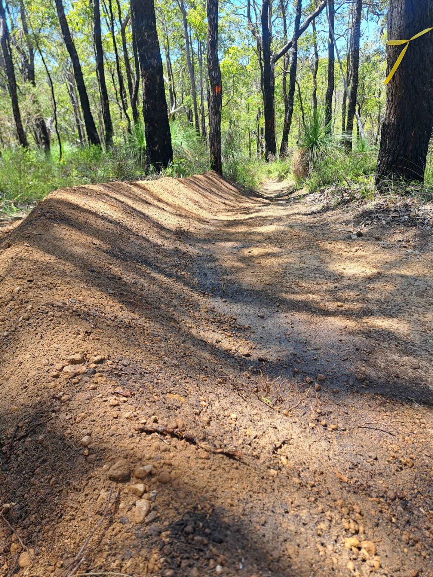 Korijekup-MTB-1440x1920.jpg