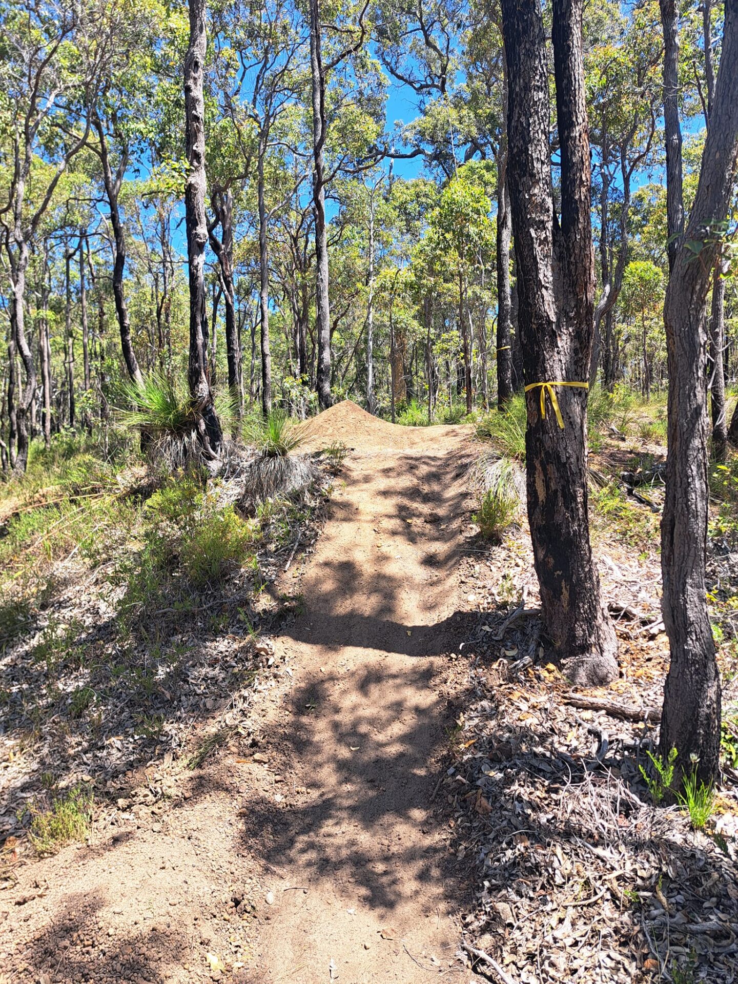 Korijekup-MTB-2-1440x1920.jpg