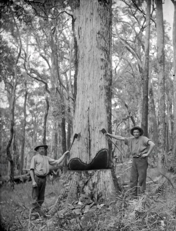 Elliott’s Timbermill Historic Site 1939