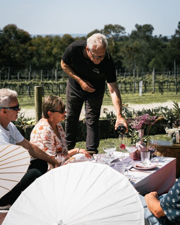 Vineyard 28 Picnic Cheer Grazing Experience