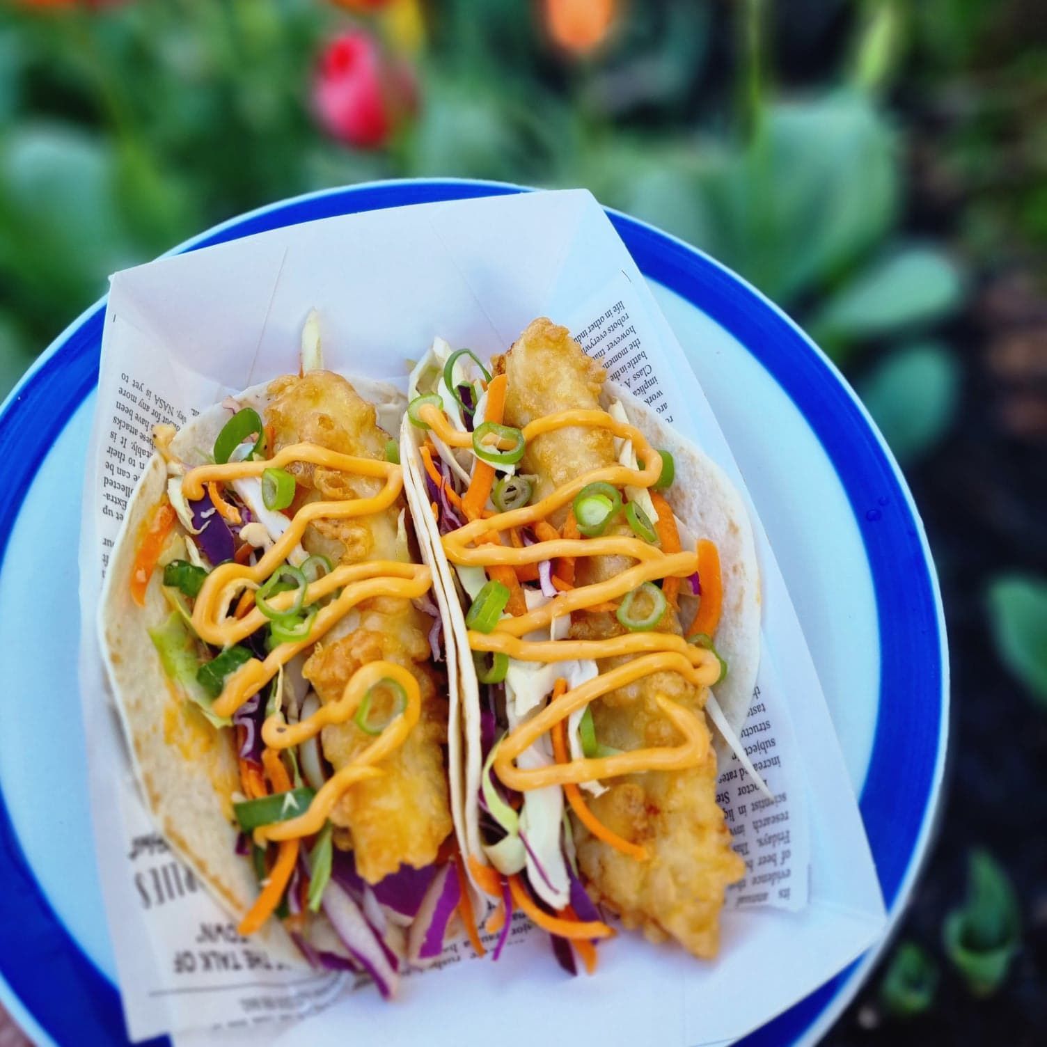 harvey-Fish-and-Chips-Fish-Tacos.jpg