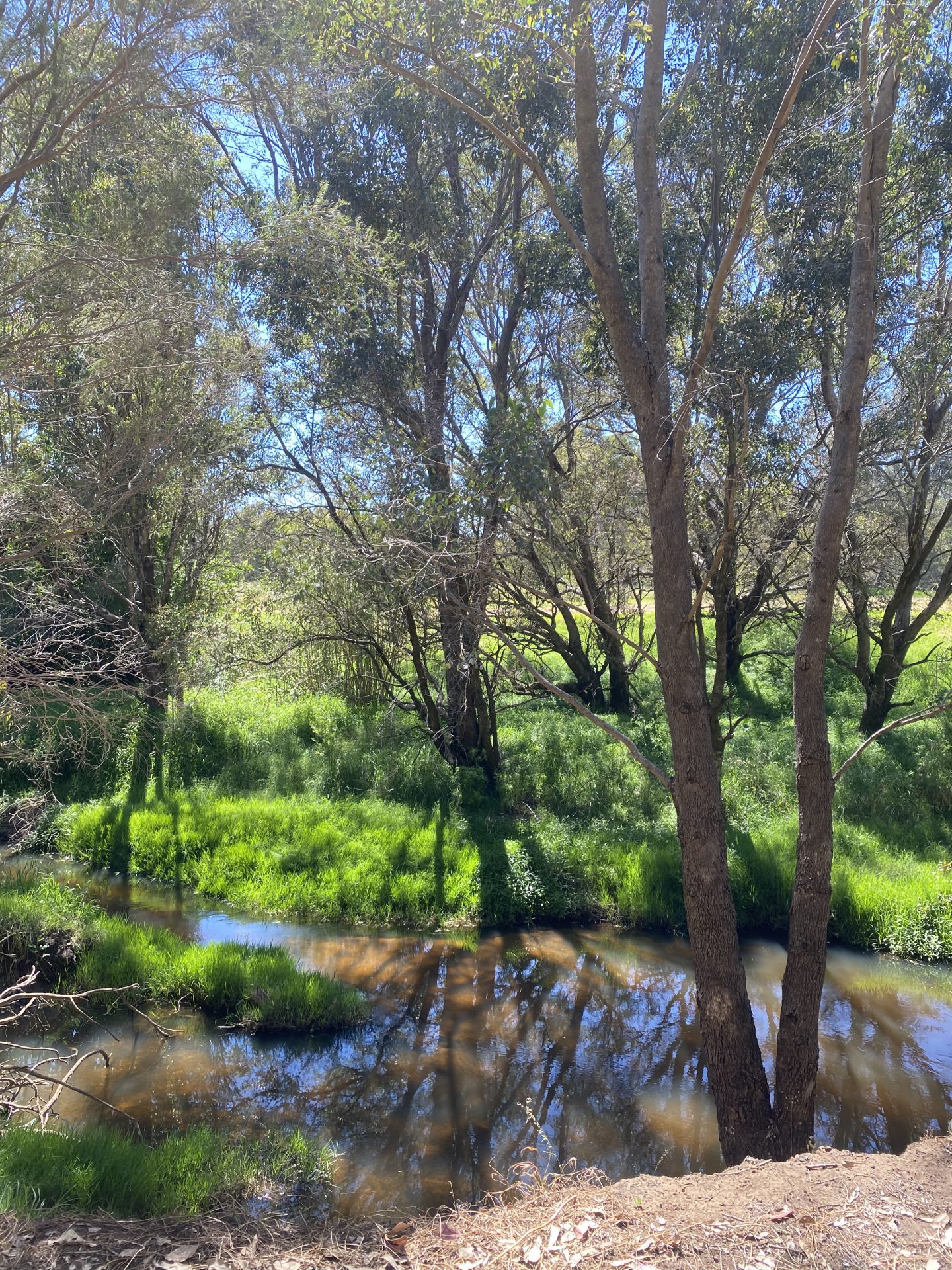 Brunswick-River-walk-river-1440x1920.jpg