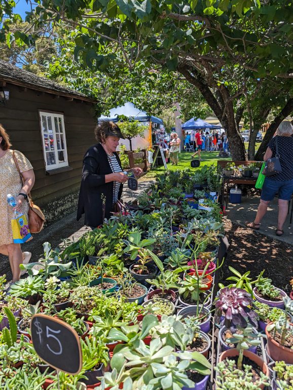 The Village Markets