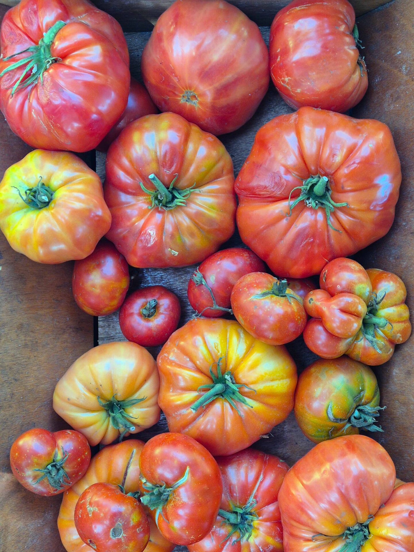 Melville-Park-Farm-Shop-tomatoes-LR-1440x1920.jpg