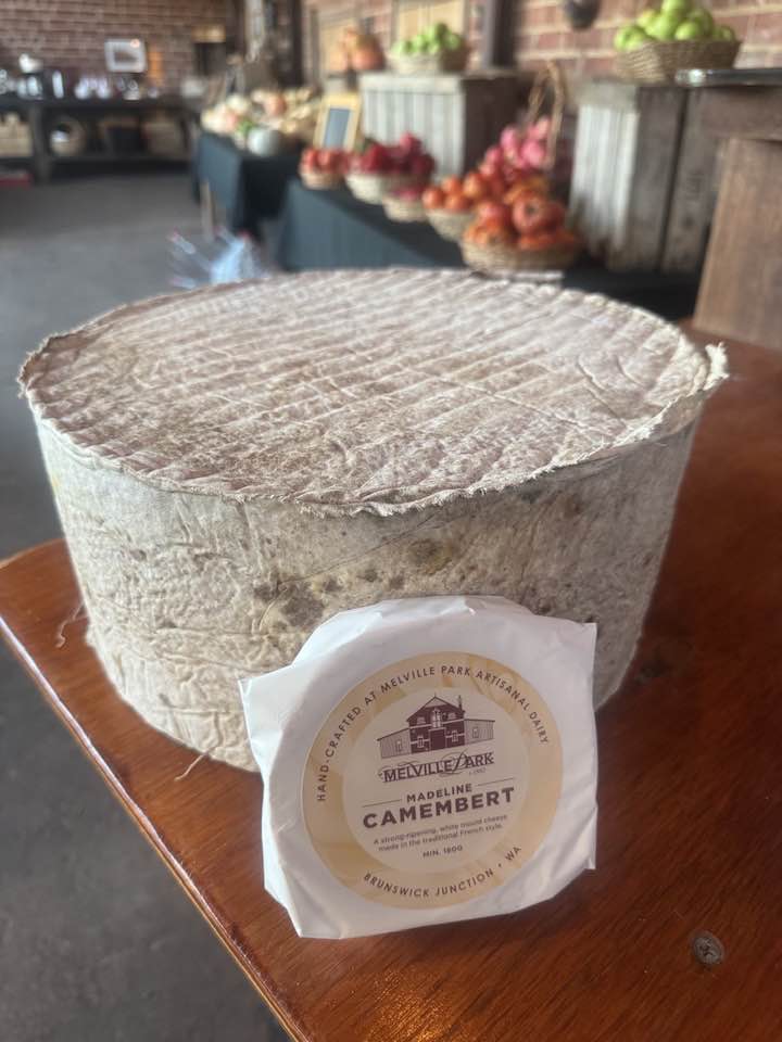Melville-park-Madeline-Camembert.jpg