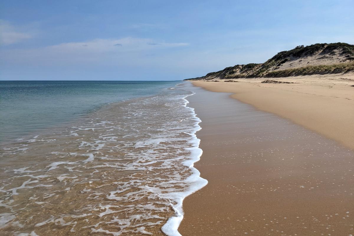 belvidere-beach-leschenault-peninsula-conservation-park-bronwyn-wells-9.jpg