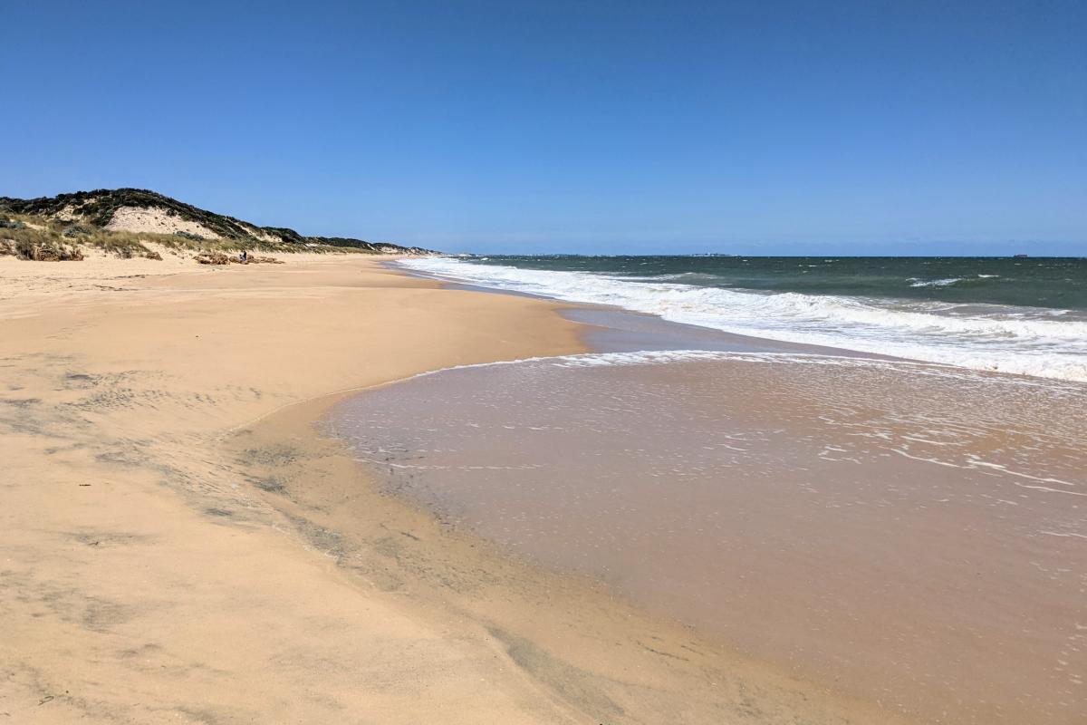 buffalo-beach-leschenault-peninsula-conservation-park-bronwyn-wells-6.jpg