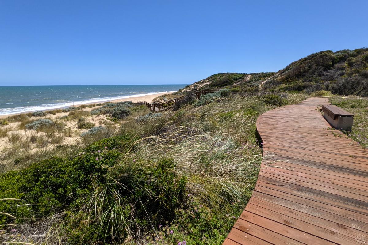 buffalo-beach-leschenault-peninsula-conservation-park-bronwyn-wells-7.jpg
