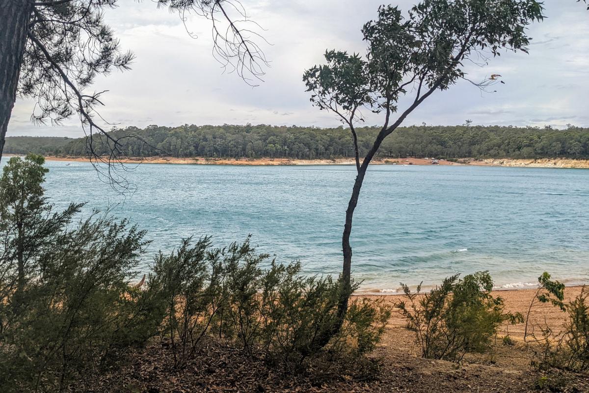 Photo of the water and trees at Logue Brook Dam