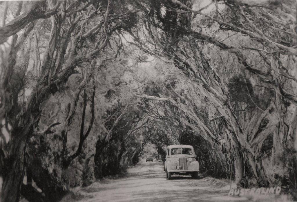 Cathedral-Avenue-Circa-1940-Federation-Display.jpg