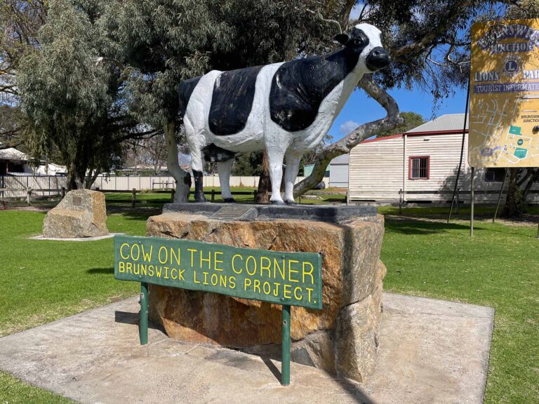 Daisy Cow on the Corner 3