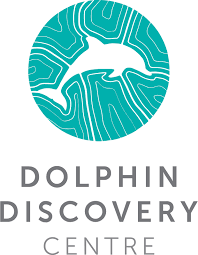 Dolphin Eco Cruises