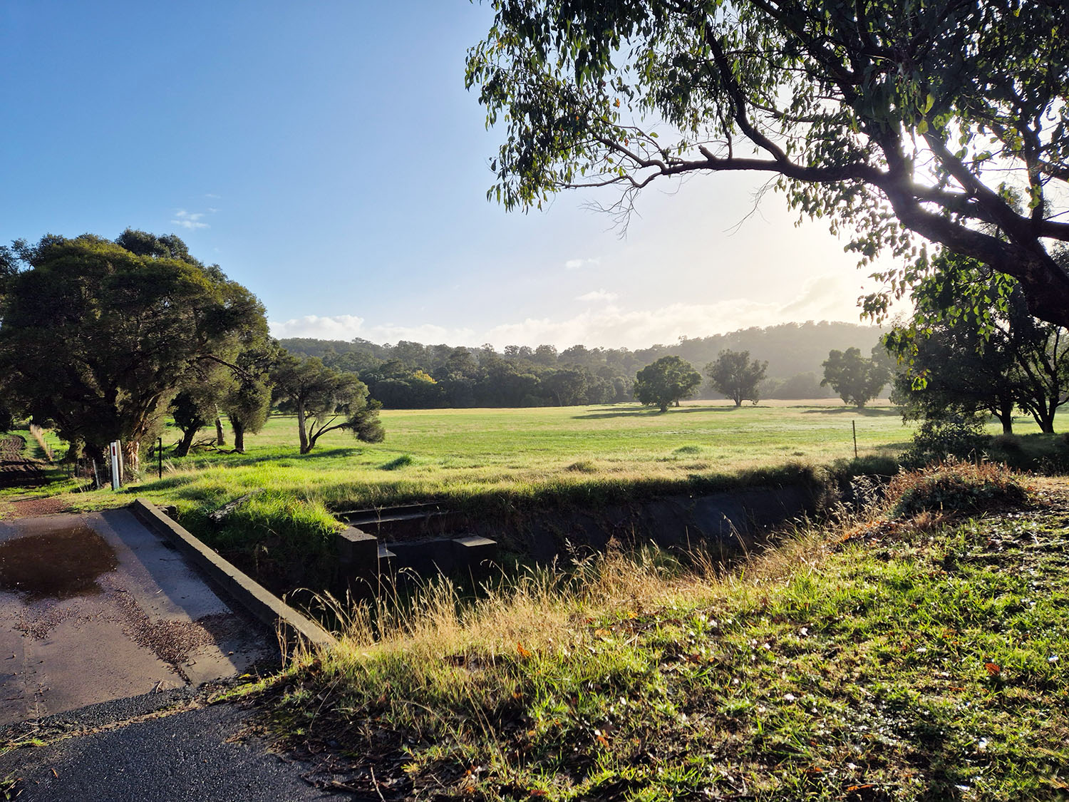 Forestry-Channel-2-Bridge.jpg