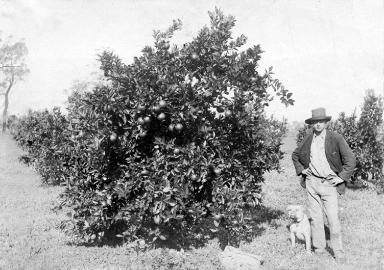 Geoffrey-Hayward-in-the-orchard-at-Riverton-1907-Credit-Harvey-History-Online-Collection_.jpg