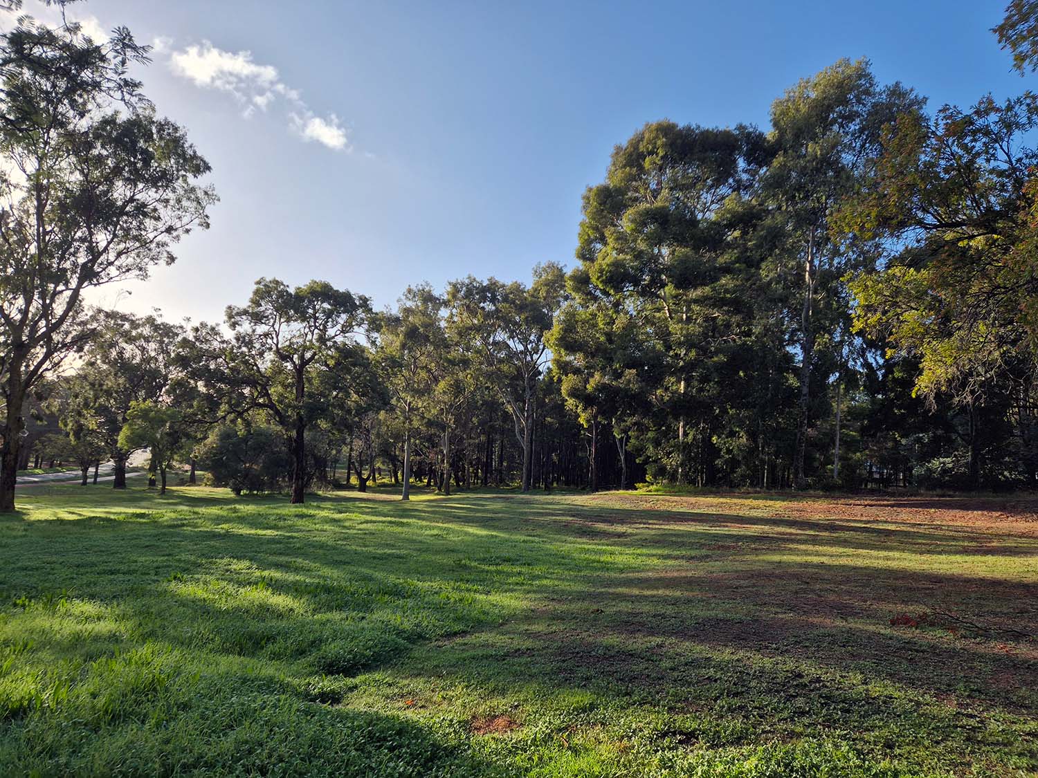 Harvey-Forestry-Cottages-Original-Site.jpg