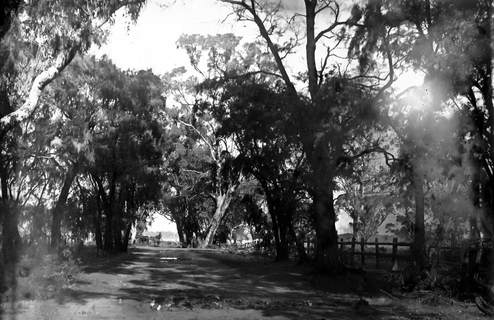 Old-Coast-Road-1905-Credit-Harvey-Museum-1920x1243.jpg