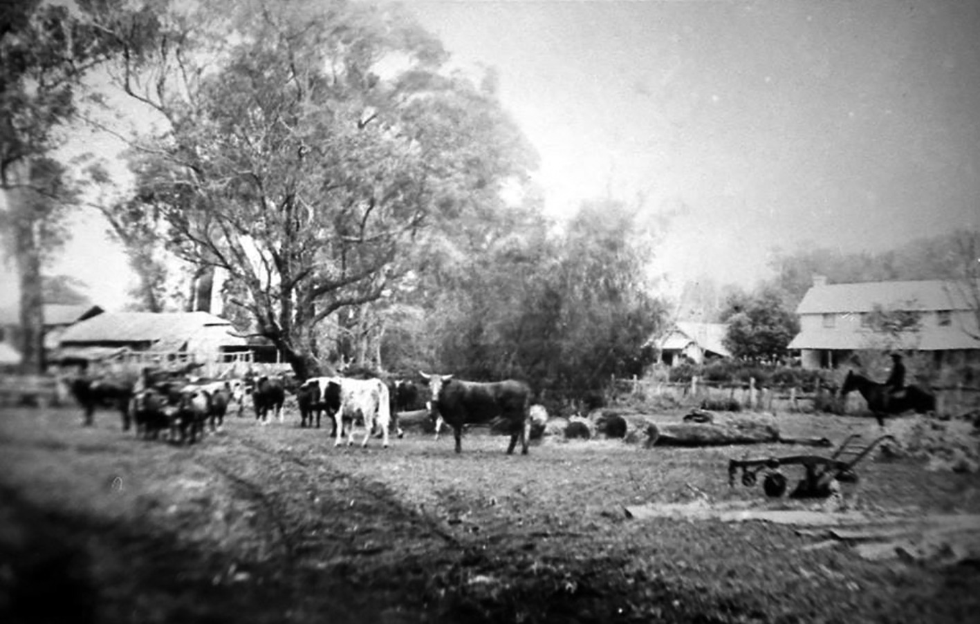 Springhill-Farm-around-1870s-1.jpg