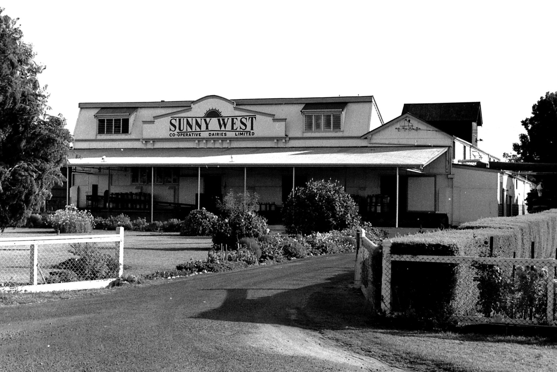 1954-Sunny-West-Butter-Factory-Harvey-Credit-Chantel-Gelmi.jpg