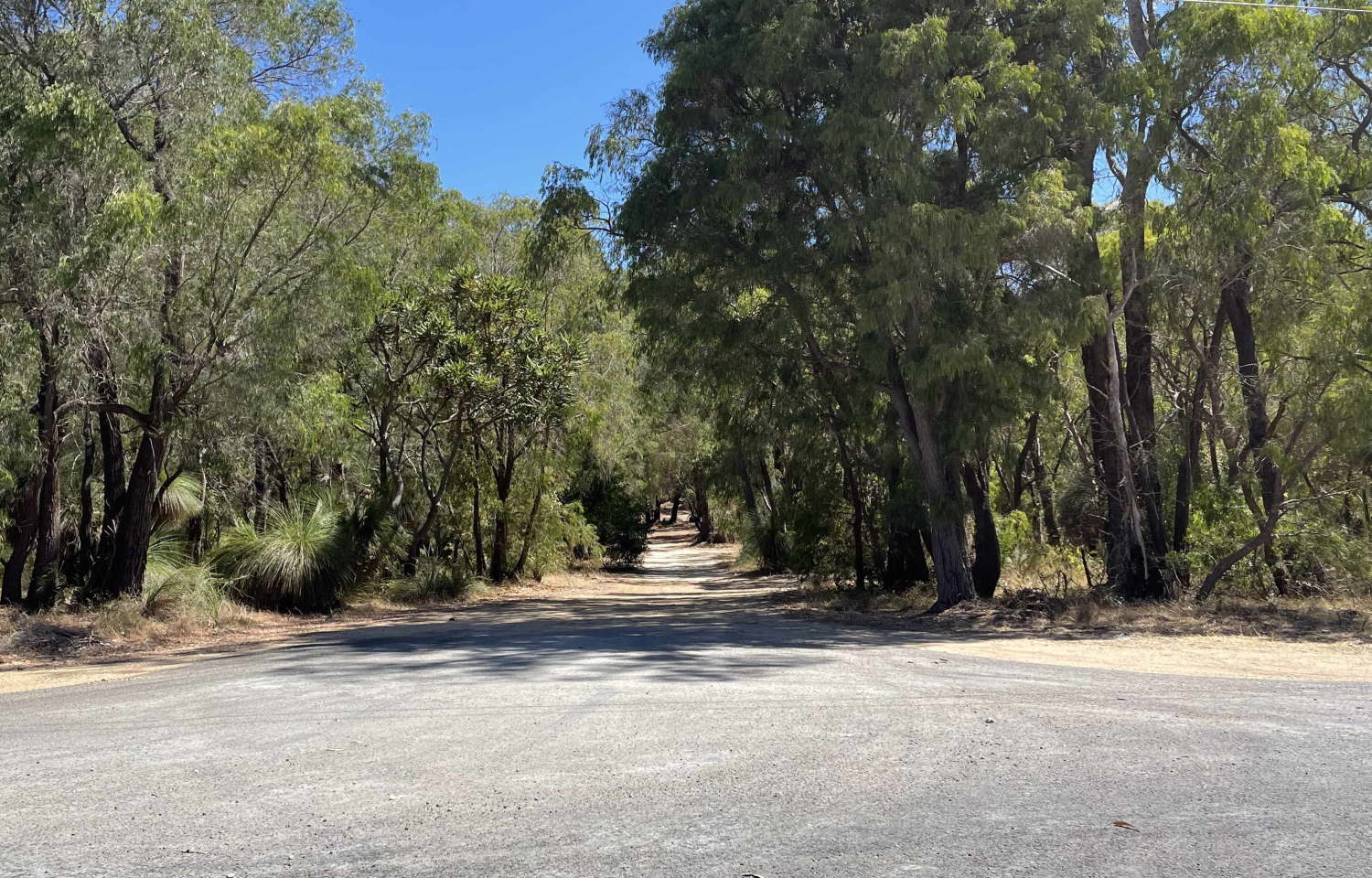 Old-Wittakers-Mill-Entrance-off-Bagieau-Road.jpg