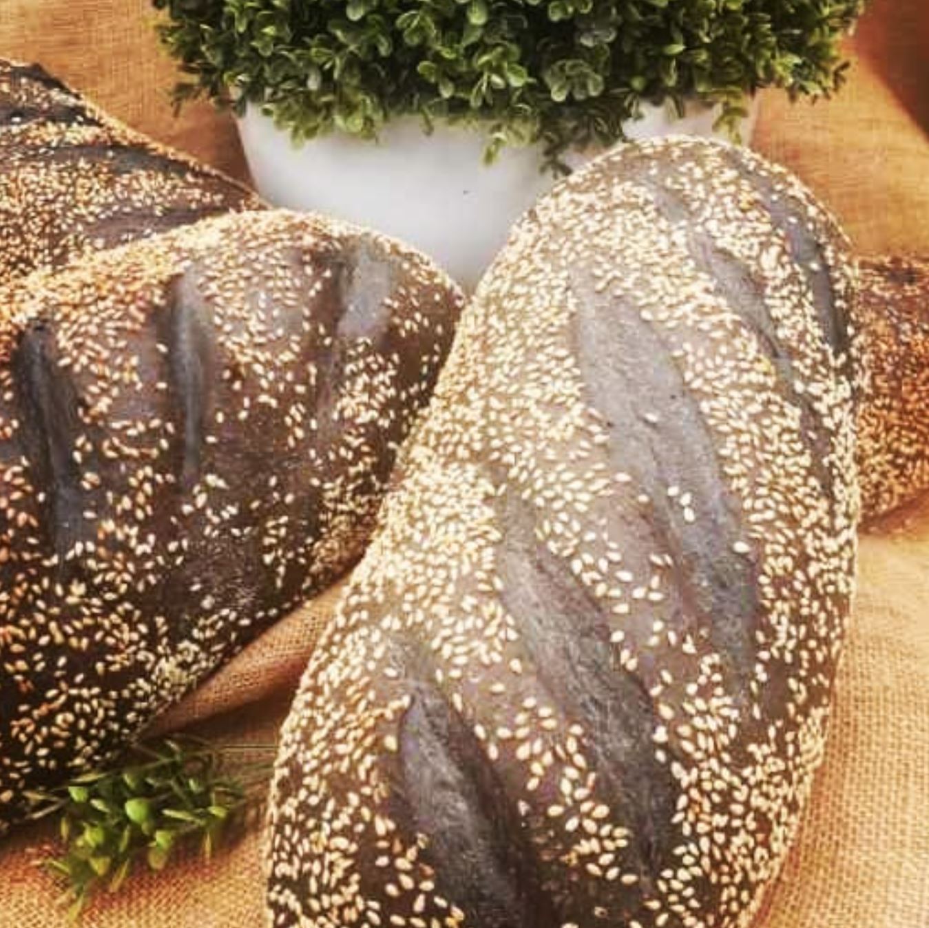 Harper-Street-bakery-Charcoal-Bread.jpg