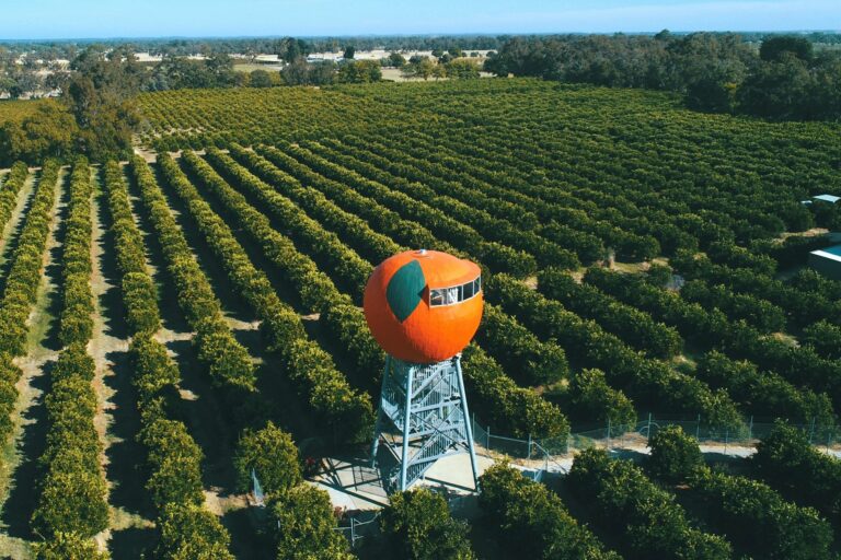 Go Big, Go Orange with Australian Traveller