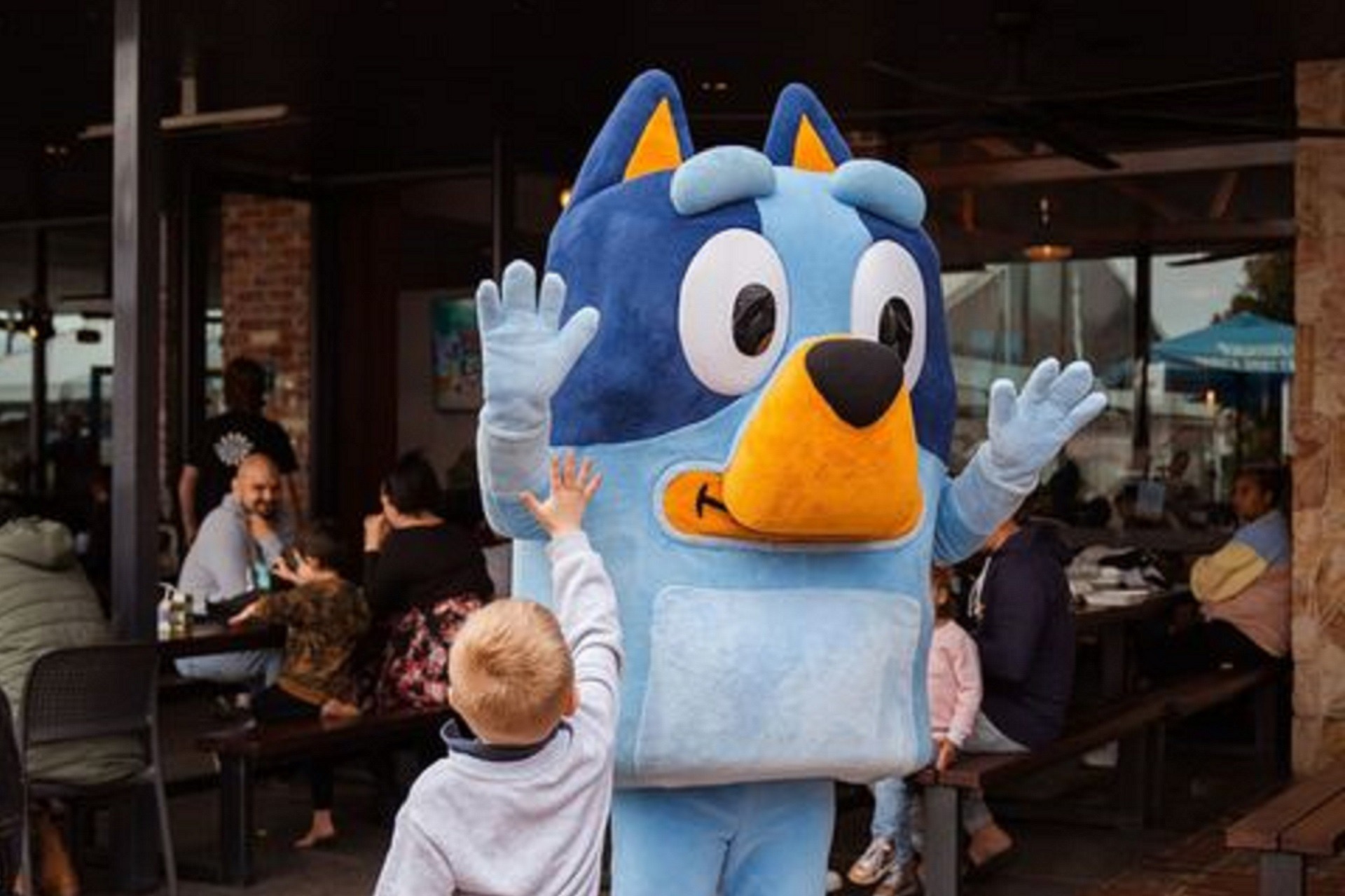 School Holidays At The Farm Bluey Bingo Disco Harvey Region