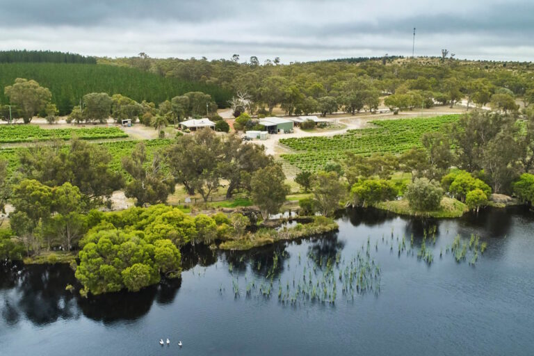 Have Your Say: Help Shape the Future of Our Local Economy!