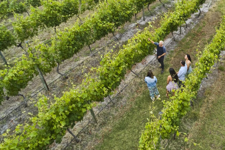 Vineyard 28 Shines at Business Excellence Awards