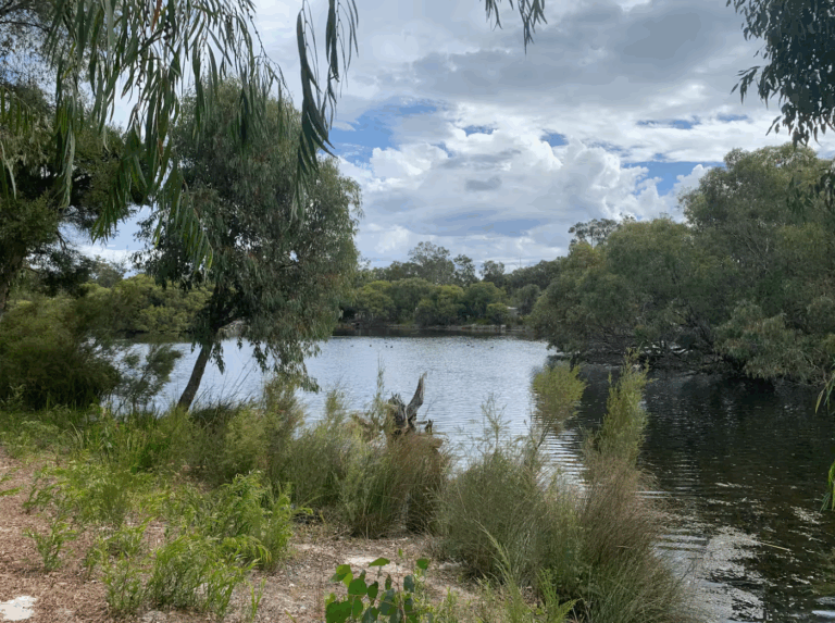 Paperbark Lodge
