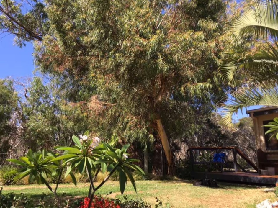 Myalup-Cosy-Country-Cottage-Garden.jpg