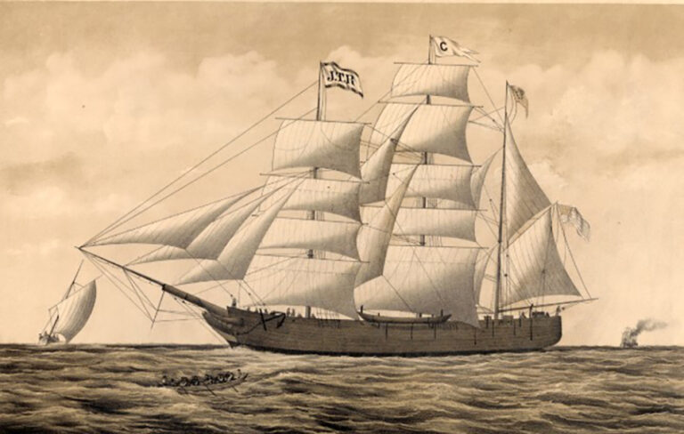 Catalpa Rescue Guided Walk