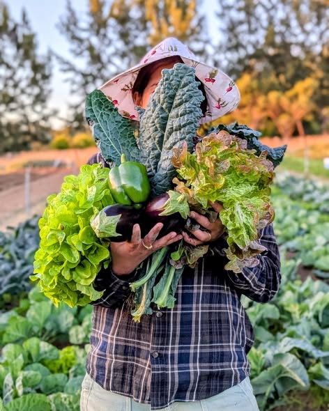 Seven Hills Organic Farm