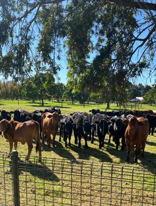 Myra Downs Farmstay