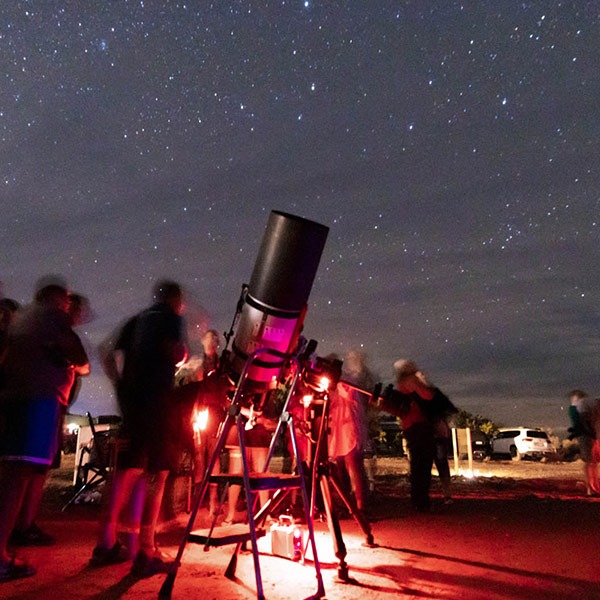 Discover our Stars