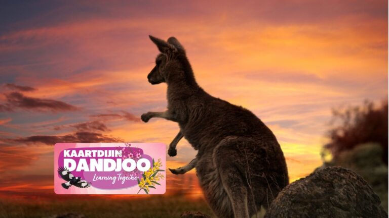 Kaartdijin Dandjoo – Animals and Storytelling – Harvey Recreation and Cultural Centre