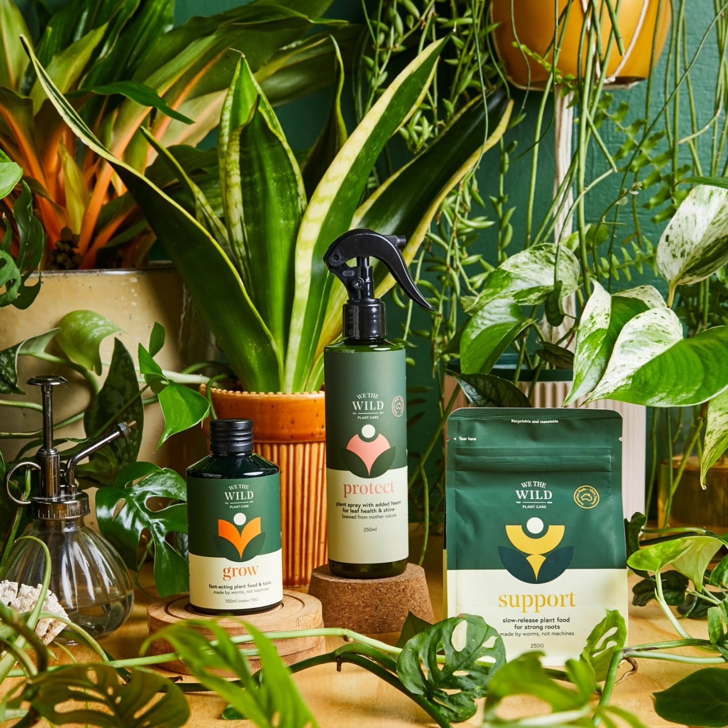 The-Nook-plants.jpg